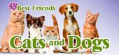 My Best Friends: Cats & Dogs